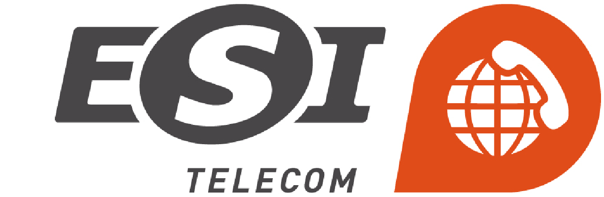 Logo ESI Télécom gris